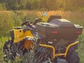 2018 Stels ATV-800 Guepard Trophy, жёлтый, 589000 рублей