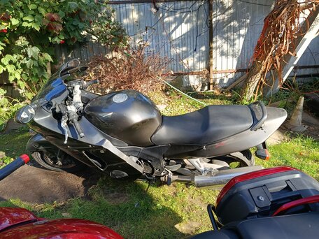1999 Honda CBR 1100 XX, серый, 350000 рублей, вид 5