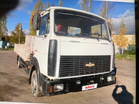 2005 МАЗ 4370, белый, 1200000 рублей, вид 5