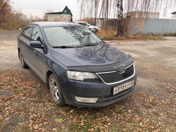2014 Skoda Rapid I, синий, 830000 рублей - вид 2