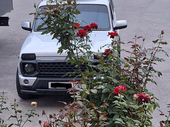 2020 Lada (ВАЗ) 2121 (4x4) Urban I Рестайлинг (2020), серый, 800000 рублей - вид 4