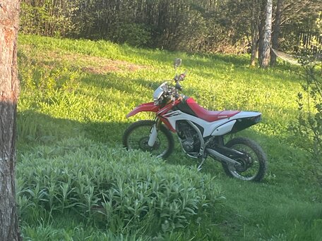 2014 Honda CRF 250L, красный, 490000 рублей, вид 1