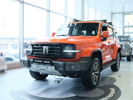 Tank 300 I