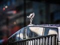 2008 Rolls-Royce Phantom VII, серый, 8775260 рублей - вид 10