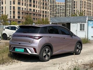 2025 BYD Dolphin 30.7 kWh I, розовый, 1330007 рублей, вид 5