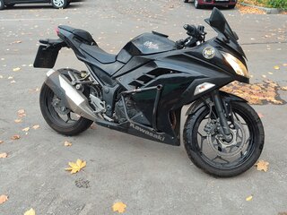 2013 Kawasaki Ninja 300, чёрный, 395000 рублей, вид 1