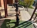 2025 Kugoo Wish 04 Pro, оранжевый, 120000 рублей - вид 3