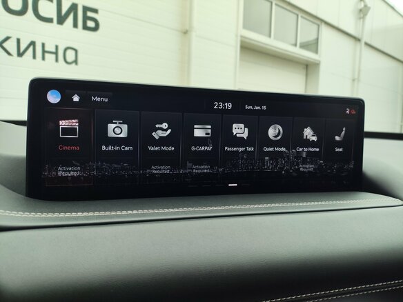2020 Genesis GV80 I, серый, 5979000 рублей - вид 25