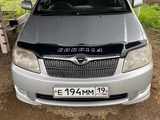 2005 Toyota Corolla Fielder IX (E120, E130) Рестайлинг, серый, 780000 рублей, вид 1