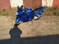 1999 Honda CBR 1100 XX, синий, 500000 рублей