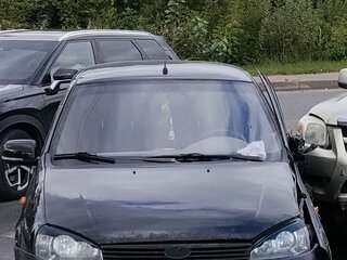 2010 Lada (ВАЗ) Kalina I, чёрный, 95000 рублей, вид 4