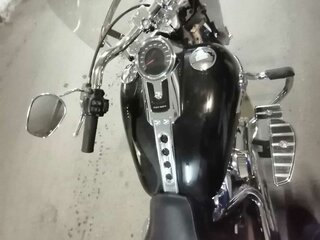 2021 Harley-Davidson Fat Boy, чёрный, 2450000 рублей, вид 4