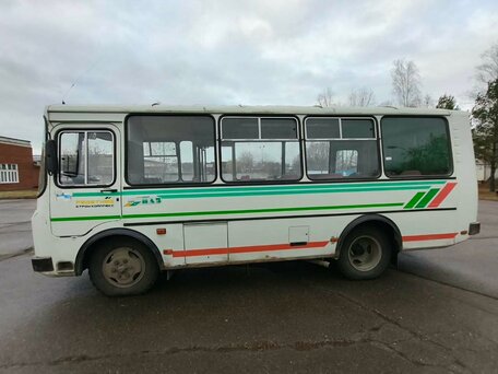 2008 ПАЗ 32053-20, белый, 220000 рублей, вид 5