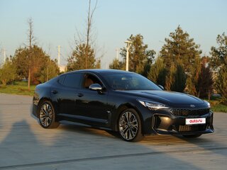2018 Kia Stinger I, серый, 2215000 рублей, вид 2