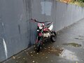 2024 Kayo Basic TT125, красный, 50000 рублей