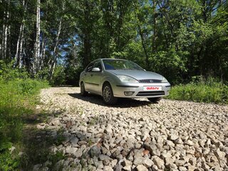 2003 Ford Focus I Рестайлинг, серый, 230000 рублей, вид 2