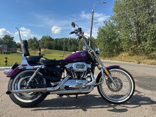 2005 Harley-Davidson Sportster 1200, пурпурный, 565000 рублей, вид 3