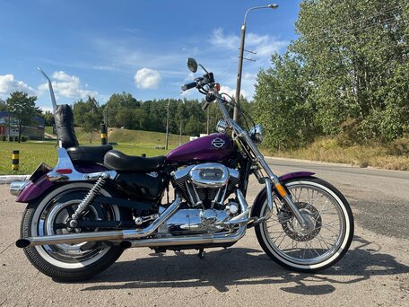 2005 Harley-Davidson Sportster 1200, пурпурный, 565000 рублей, вид 3