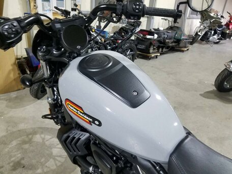 2024 Harley-Davidson Nightster, серый, 899000 рублей, вид 3
