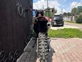 2025 Progasi Race 300 Wave, зелёный, 240000 рублей - вид 1