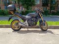 2013 Honda CB 600F Hornet, золотистый, 700000 рублей - вид 4