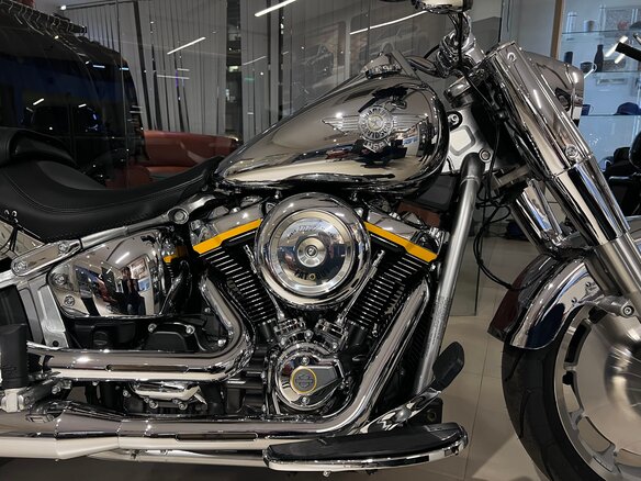 2025 Harley-Davidson Fat Boy, серебристый, 5300000 рублей - вид 2