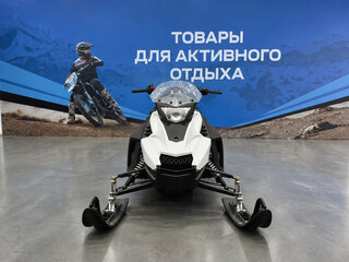 2026 Другие Снегоходы (другие), белый, 235000 рублей, вид 5