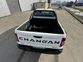 2024 Changan Hunter I (China Market), белый, 2550000 рублей - вид 7