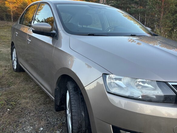 2017 Skoda Rapid I Рестайлинг, бежевый, 1190000 рублей - вид 18