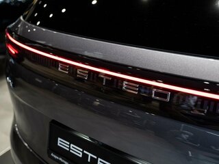 2026 Esteo MX, серый, 4290000 рублей, вид 5