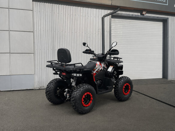 2026 Bison Warrior 200, чёрный, 166100 рублей - вид 3