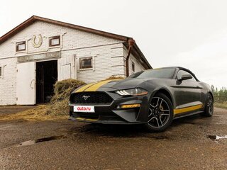 2018 Ford Mustang VI Рестайлинг, серый, 2320000 рублей, вид 5