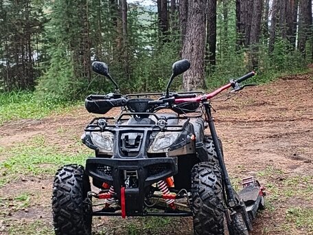 2025 Yamaha Grizzly 250, коричневый, 185000 рублей, вид 3
