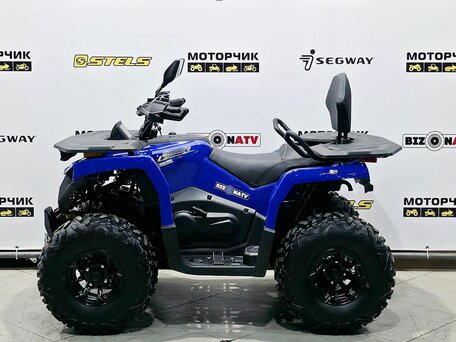 2026 Bizon YK250 LUX EFI, синий, 255000 рублей, вид 2