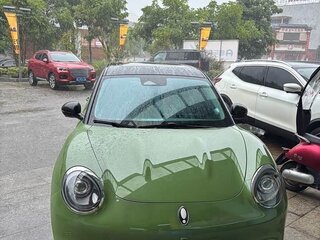 2023 Ora Good Cat 47.8 kWh I, зелёный, 1450000 рублей, вид 2