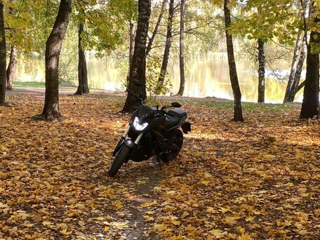 2019 Bajaj Dominar 400, чёрный, 310000 рублей, вид 1