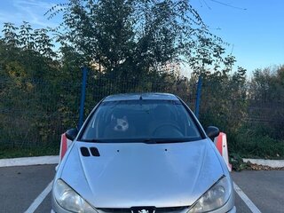 2008 Peugeot 206, серебристый, 200000 рублей, вид 4
