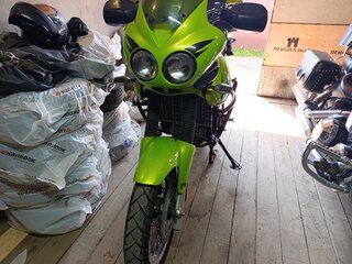 Triumph Tiger 955i
