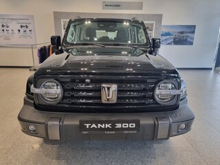 2026 Tank 300 I, чёрный, 4100000 рублей, вид 2
