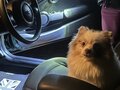 2015 Mini Hatch One III (F55/F56), зелёный, 1150000 рублей - вид 9