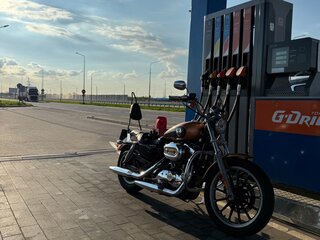 2008 Harley-Davidson Sportster 1200, чёрный, 599000 рублей, вид 2