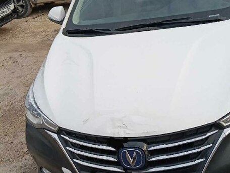 Changan Alsvin