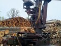 2012 КамАЗ 43118, оранжевый, 2550000 рублей - вид 3