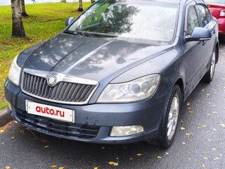 2009 Skoda Octavia II (A5) Рестайлинг, серый, 390000 рублей, вид 1