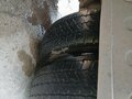 2024 КамАЗ 43085 Компас-5, белый, 2500000 рублей - вид 7