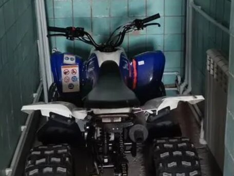 2012 Yamaha Raptor YFM90, голубой, 150000 рублей, вид 1