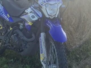 2023 Racer Panther, синий, 120000 рублей, вид 3