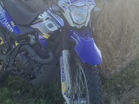 2023 Racer Panther, синий, 120000 рублей, вид 3