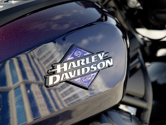 2025 Harley-Davidson Sportster S, синий - вид 18