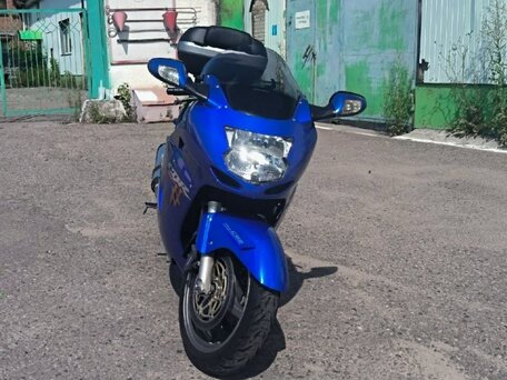 2001 Honda CBR 1100 XX, синий, 480000 рублей, вид 5